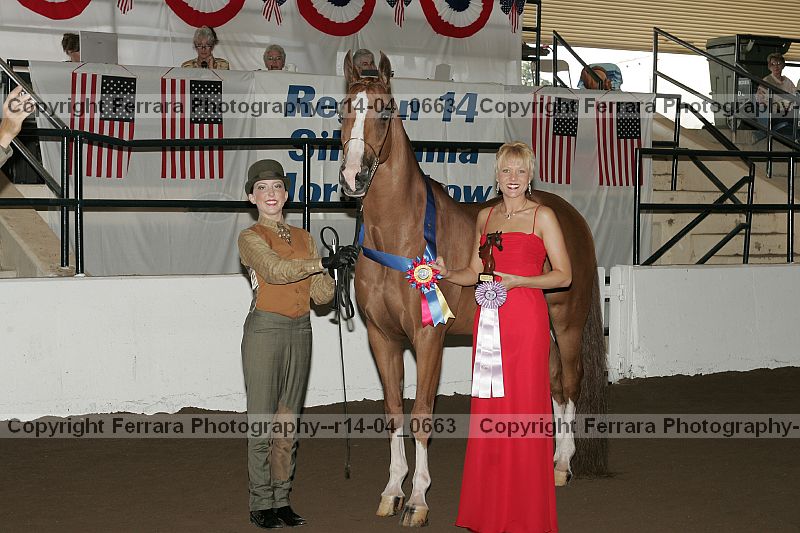 Proof Number r14-04_0663